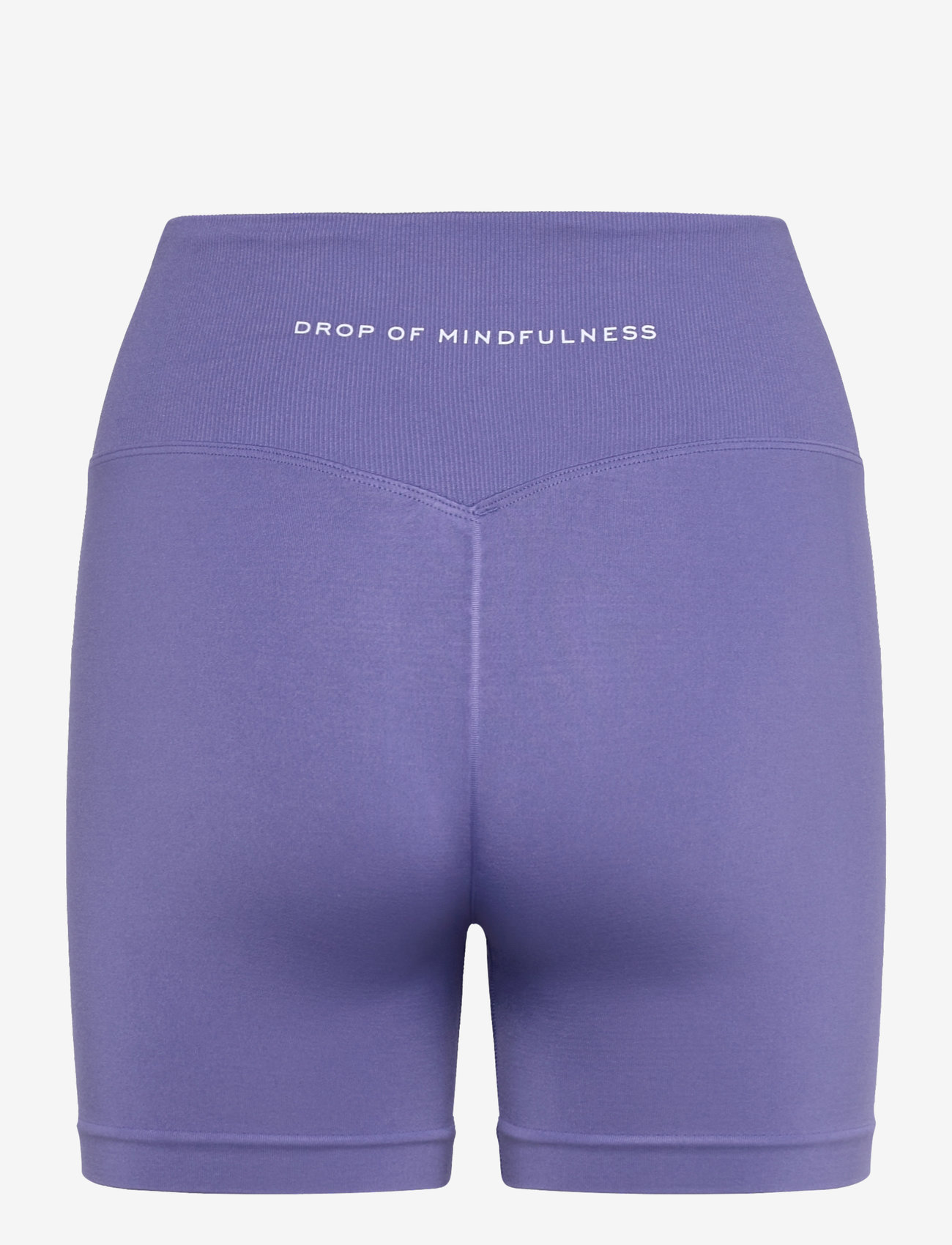 Drop of Mindfulness - SESH BIKE SHORTS - trainingstights - velvet morning - 2