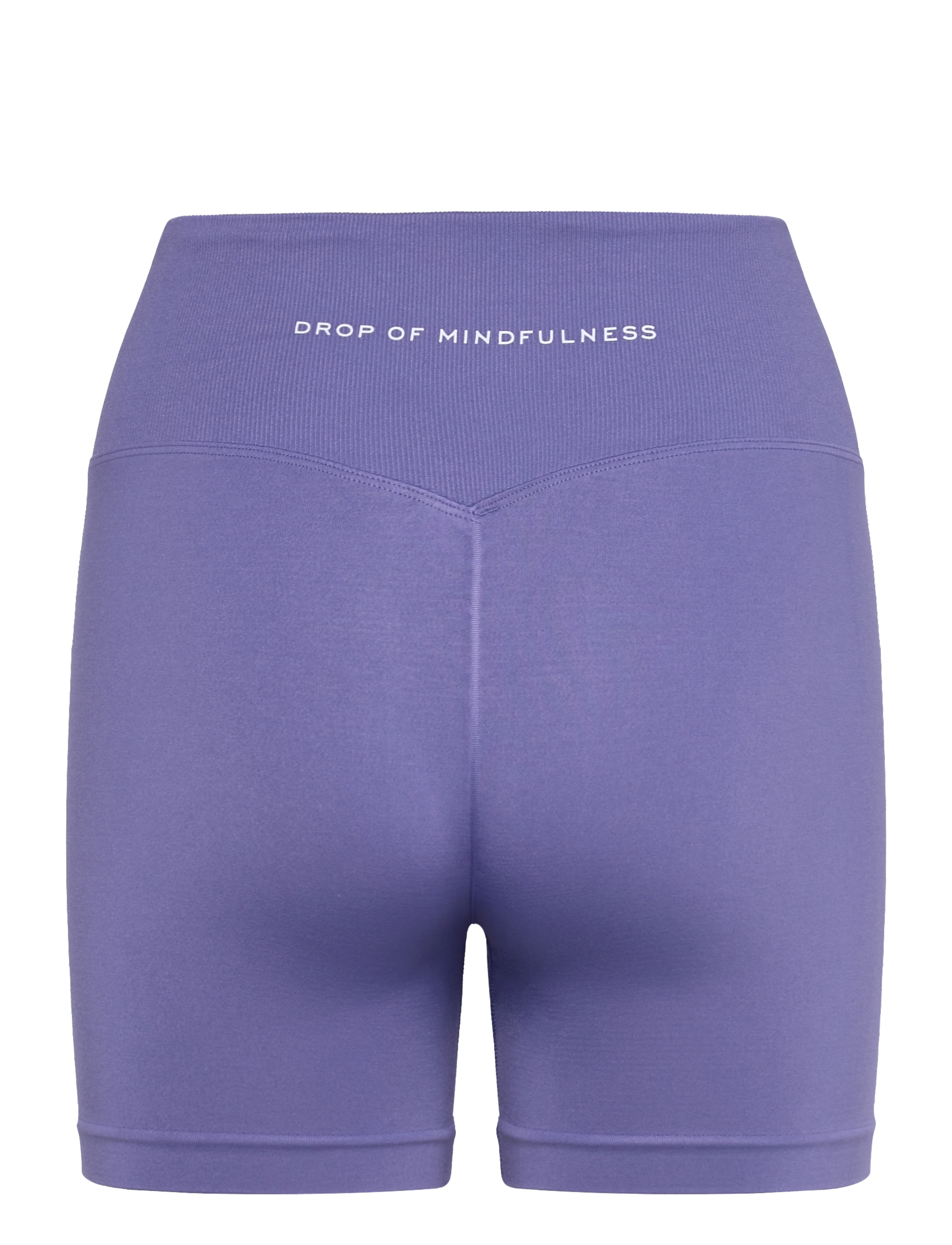 Drop of Mindfulness - SESH BIKE SHORTS - trainingstights - velvet morning - 2
