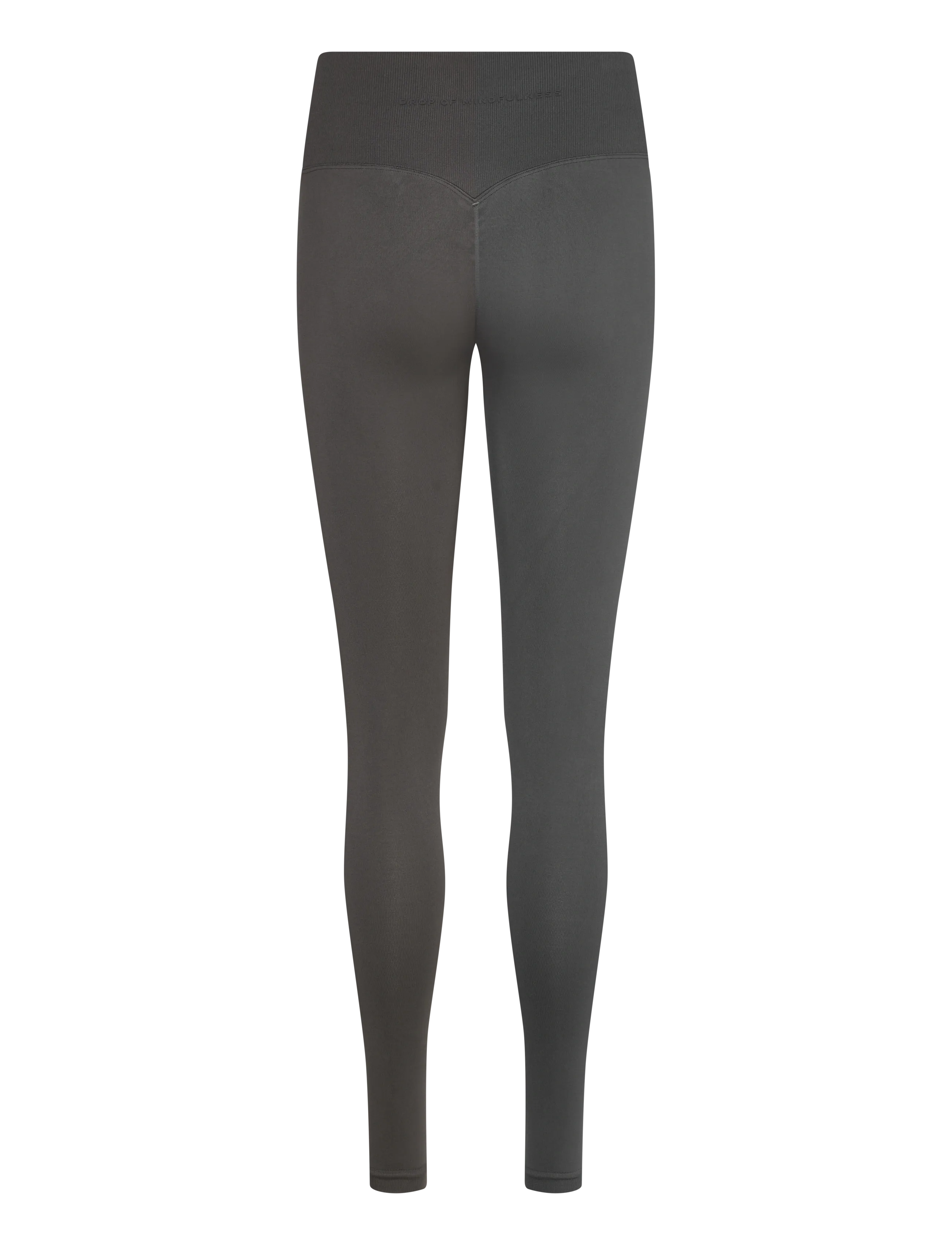 Drop of Mindfulness - SIGNATURE SEAMLESS TIGHTS - träningstights - iron grey - 2