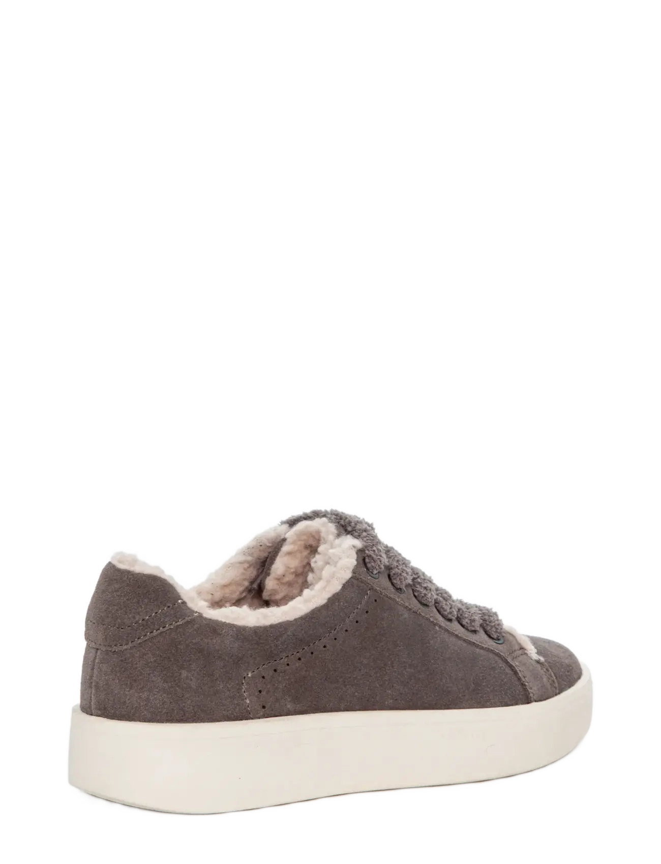 Duffy - LEUCA DUE - madala säärega tossud - grey - 3