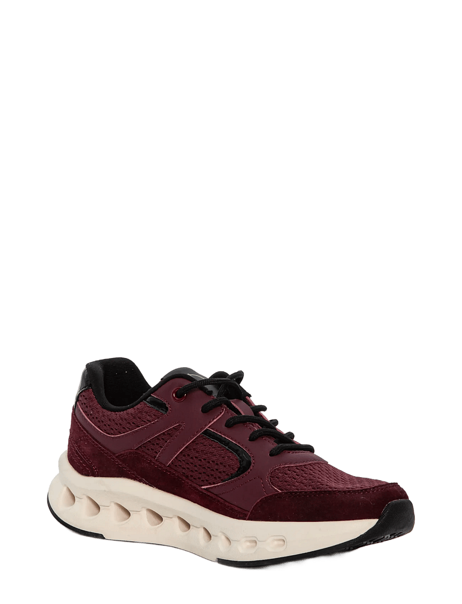 Duffy - PORDENONE DUE - plateau-sneaker - bordo - 3