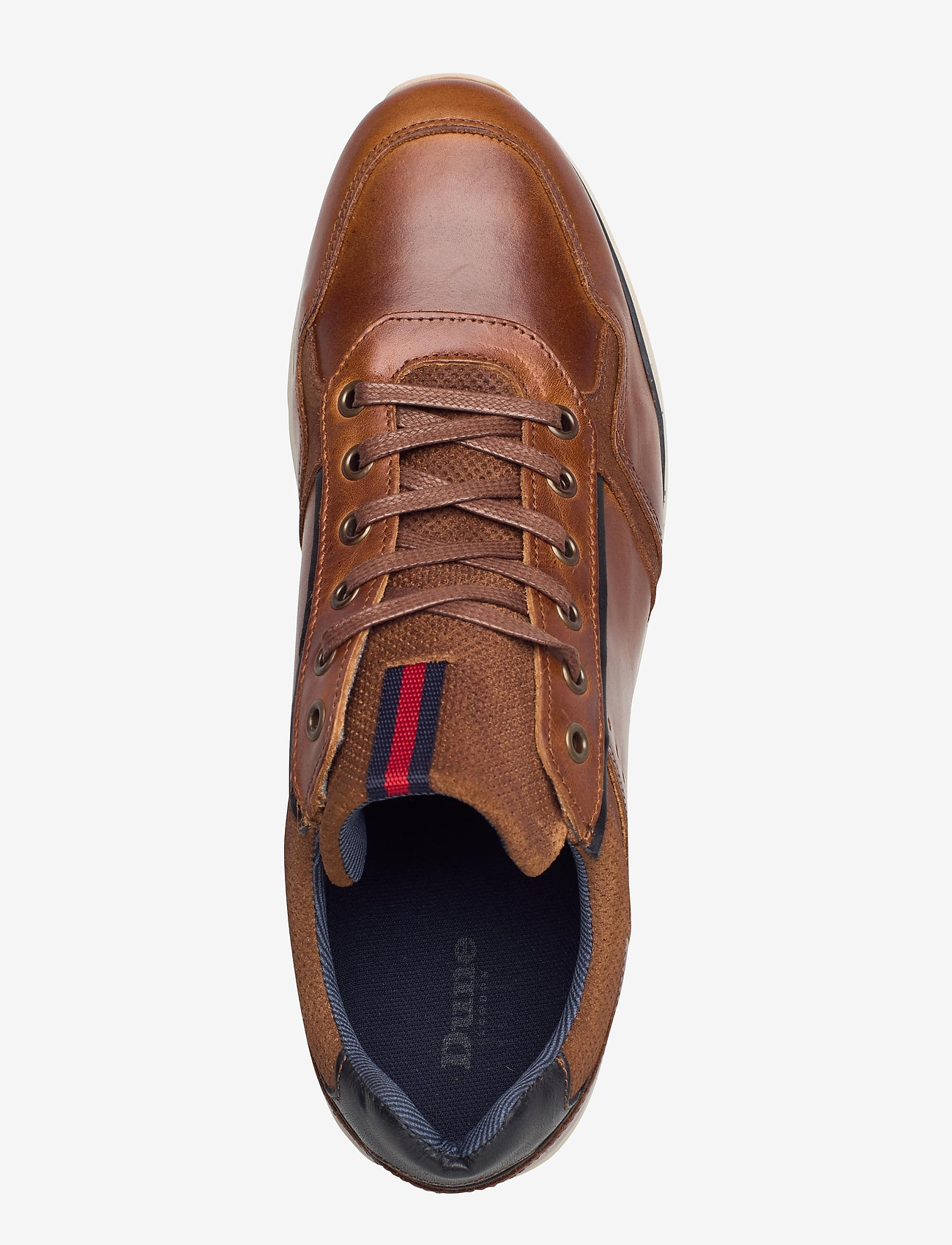 Dune London - TYNECASTLE - tan - 3