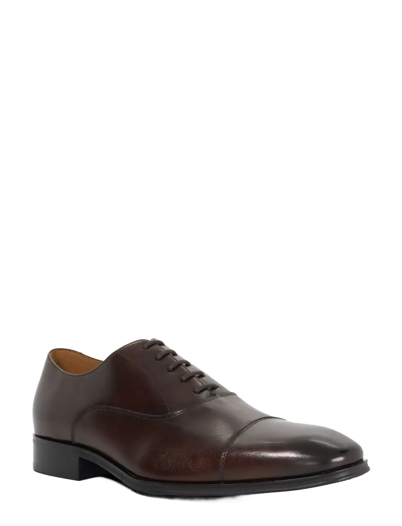 Dune London SOLVER - Business - BROWN / brown