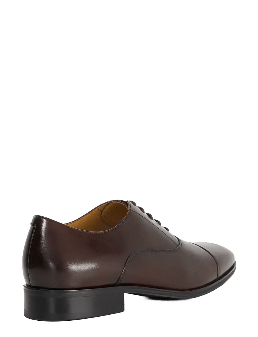 Dune London - SOLVER - brown - 2