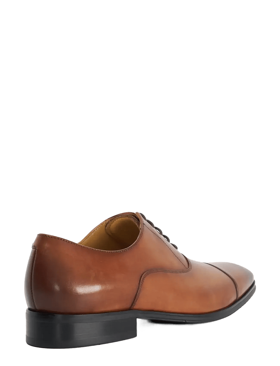 Dune London - SOLVER - dark tan - 2