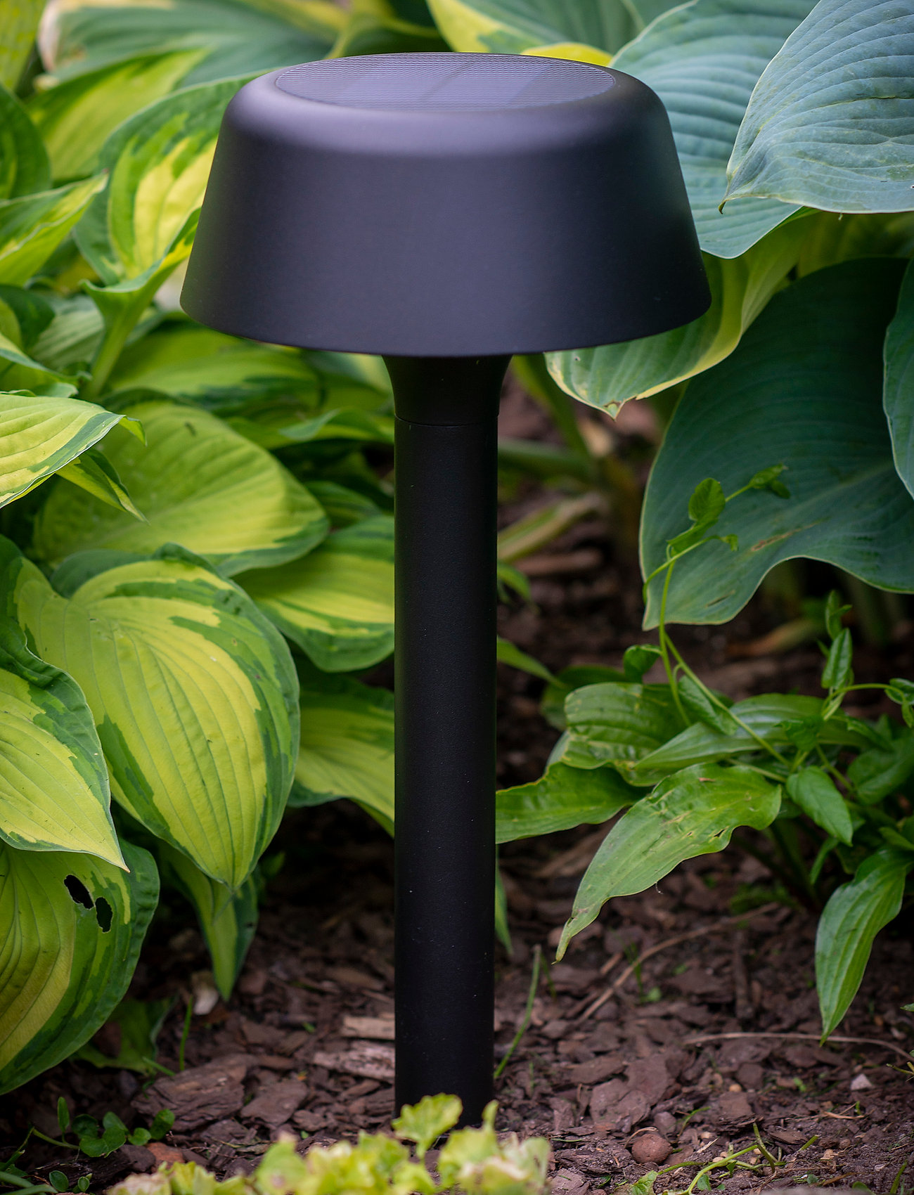 Dyberg Larsen Valencia Solar Lampe På Spyd D19,5 Udendørs, H56 cm, Outdoor Lighting, Schwarz - Garden Lights, Homeware