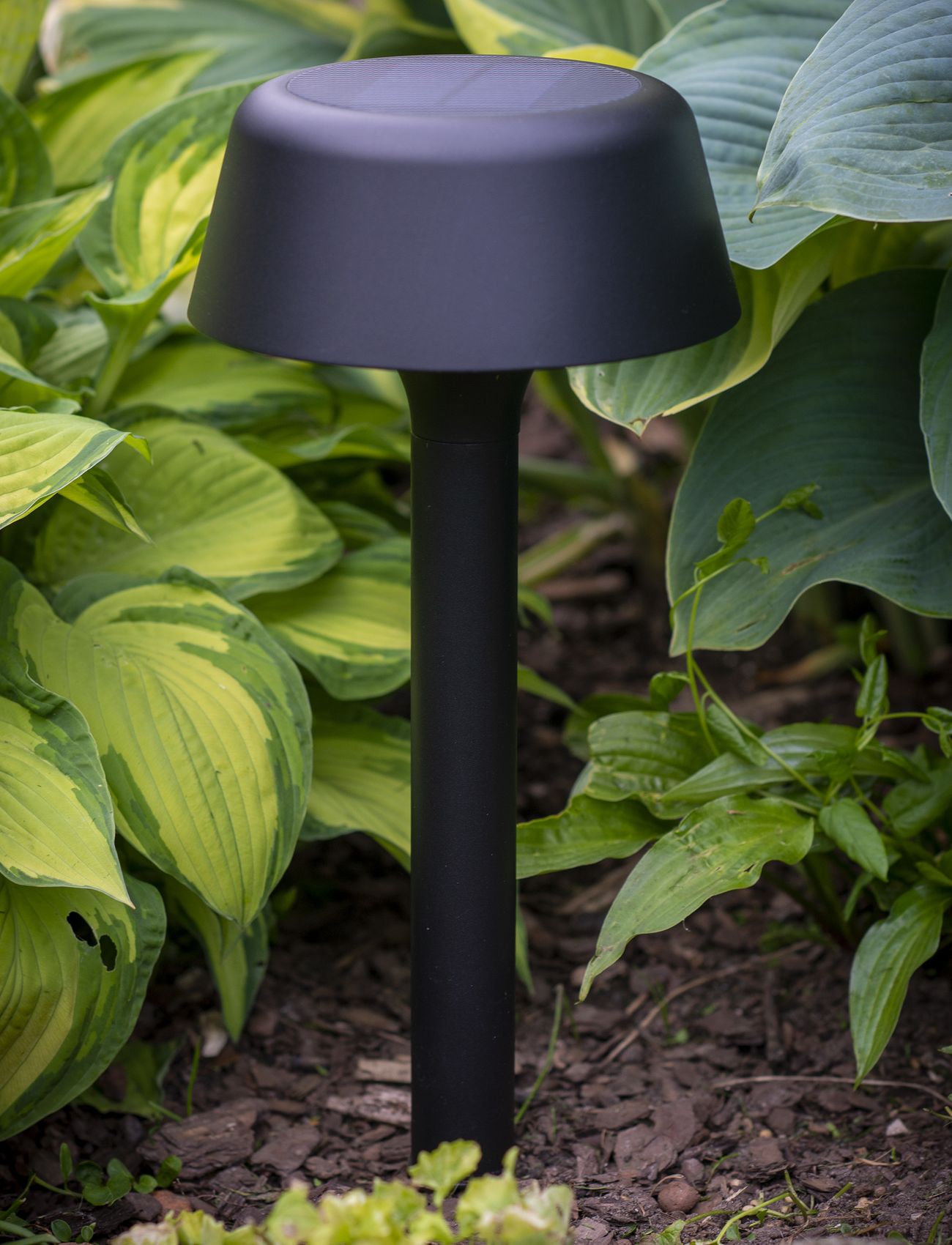 Dyberg Larsen - Valencia Solar lamp for garden - trädgårdbelysning - black - 2