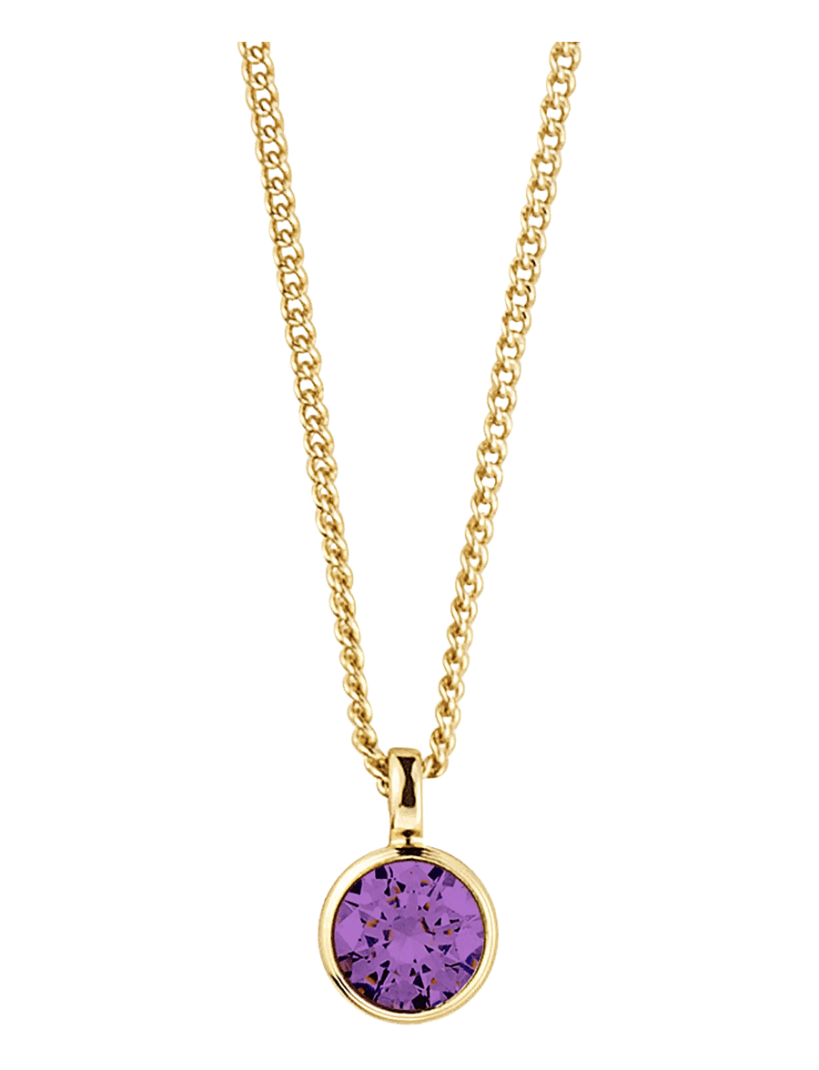 Dyrberg/Kern - ETTE SG AMETHYST - halsketten - purple - 1