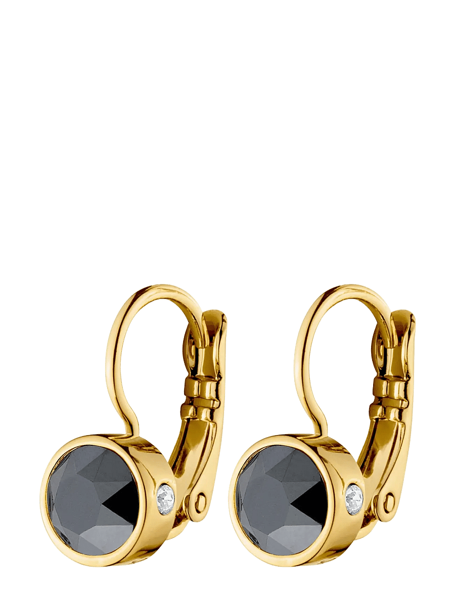 Dyrberg/Kern - MADU SG HEMATITE - statement örhängen - grey - 1