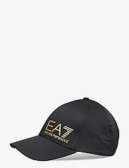 EA7 - CAPS - kasketter & caps - 28121-black/gold - 1