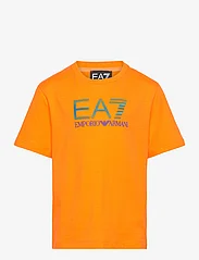 EA7 - T-SHIRT - kortærmede t-shirts - 1666-orange tiger - 0