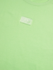 EA7 - T-SHIRT - lühikeste varrukatega t-särgid - 1805-paradisegreen - 2