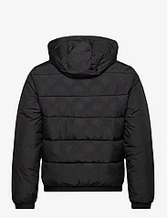 EA7 - OUTERWEAR - winter jackets - 1200-black - 1