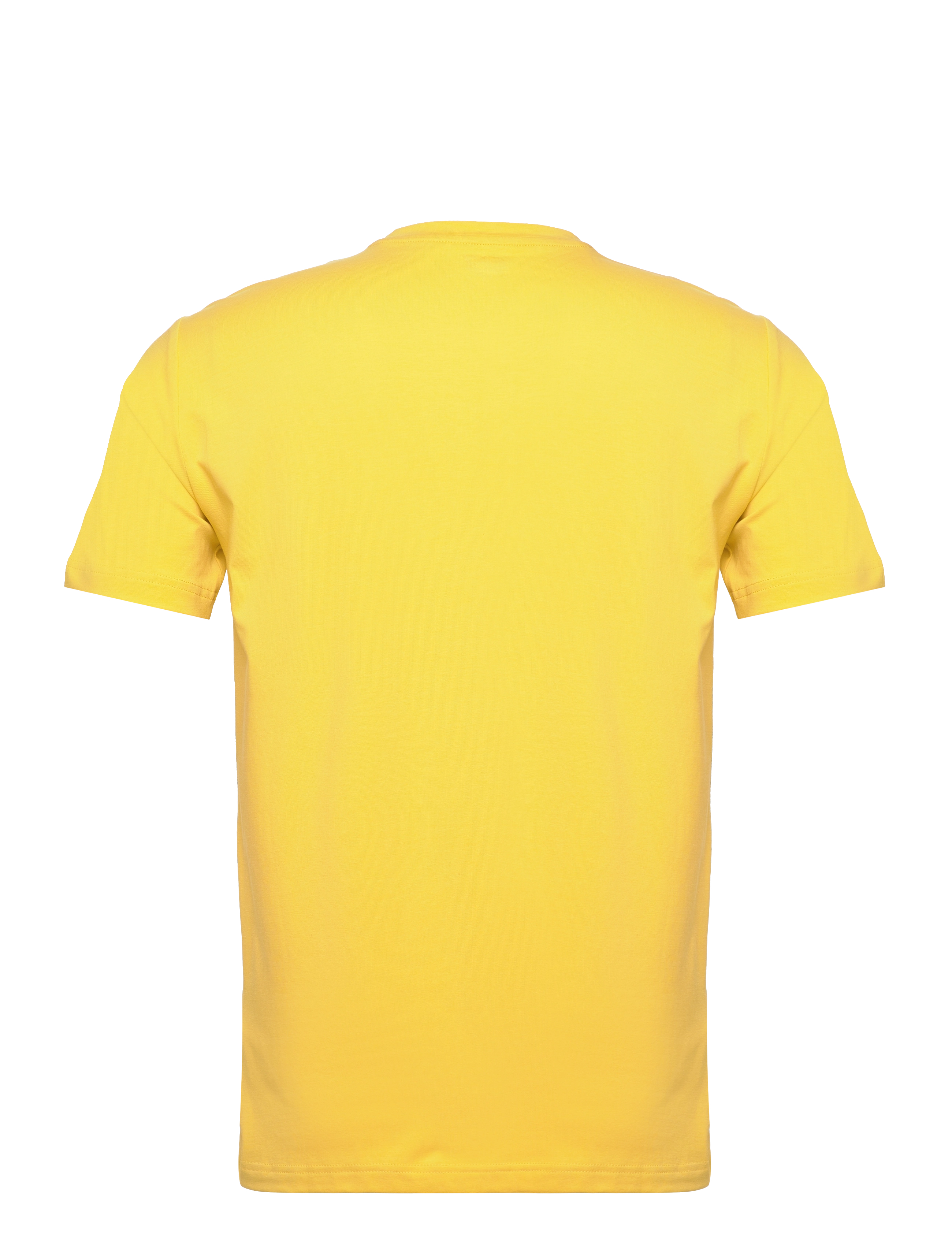 EA7 - TOPS - 1648-spicy mustard - 1