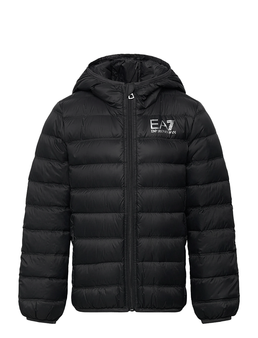 EA7 - DOWN JACKET - vestes thermo-isolantes - asphalt - 0