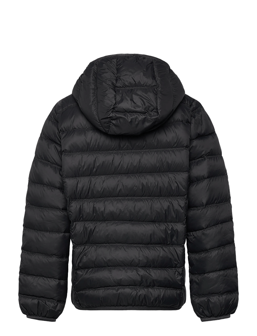 EA7 - DOWN JACKET - vestes thermo-isolantes - asphalt - 1