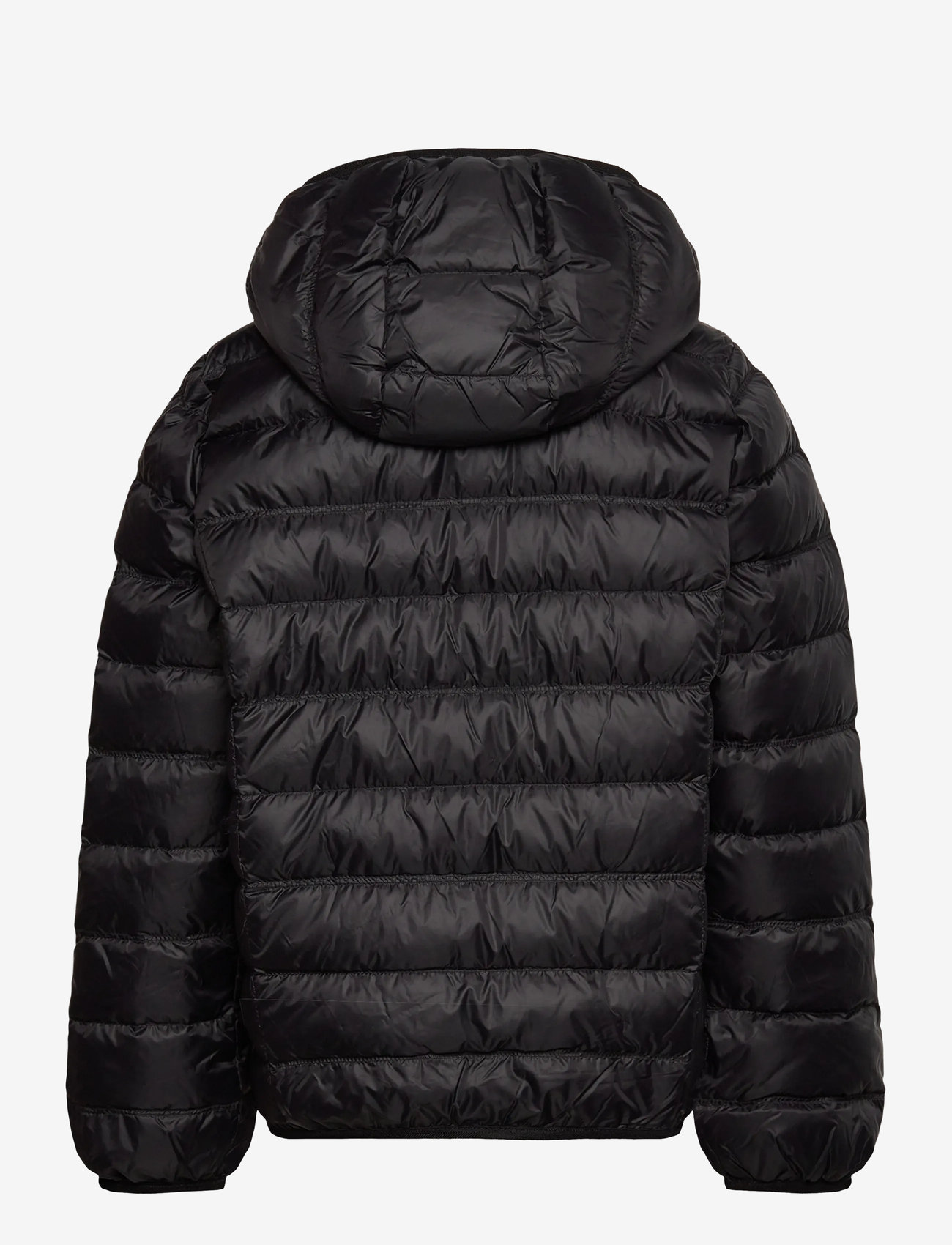EA7 - DOWN JACKET - efterårsjakker - black - 1