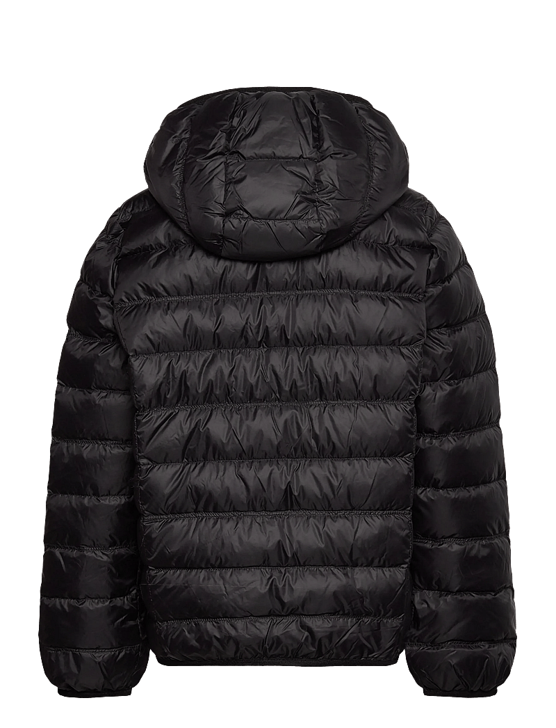 EA7 - DOWN JACKET - jakas ar siltu oderi - black - 1