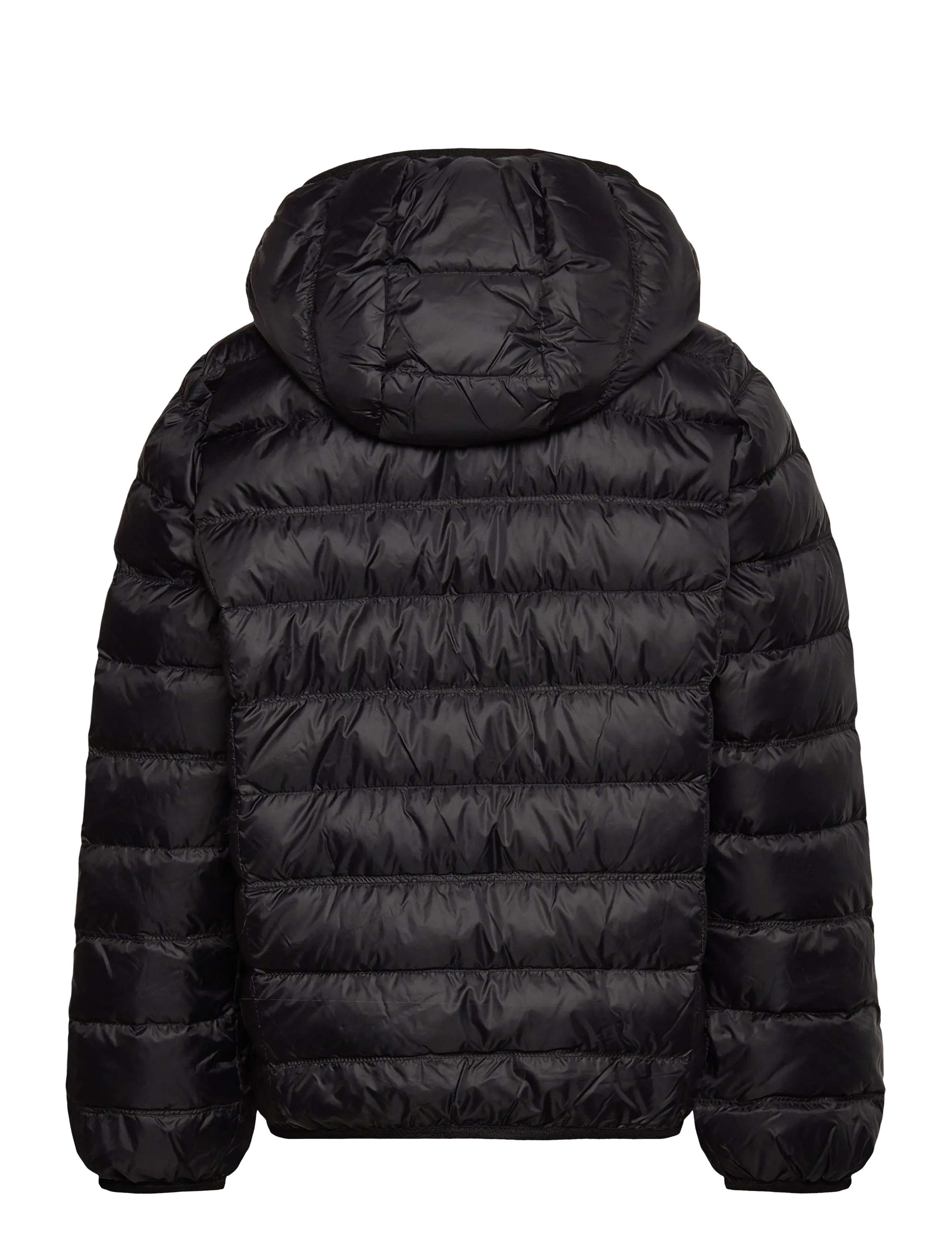 EA7 - DOWN JACKET - jacken & mäntel - black - 1