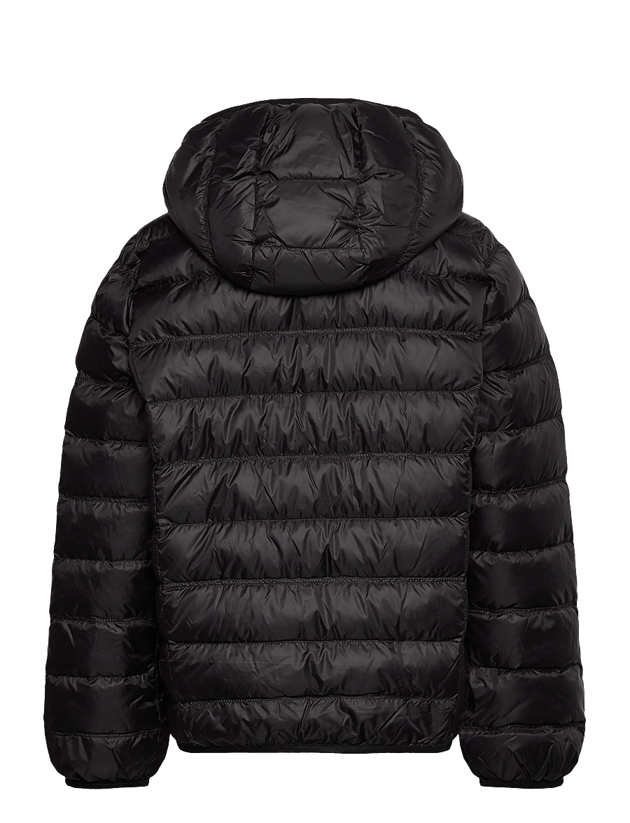 EA7 - DOWN JACKET - isolierte jacken - black - 1