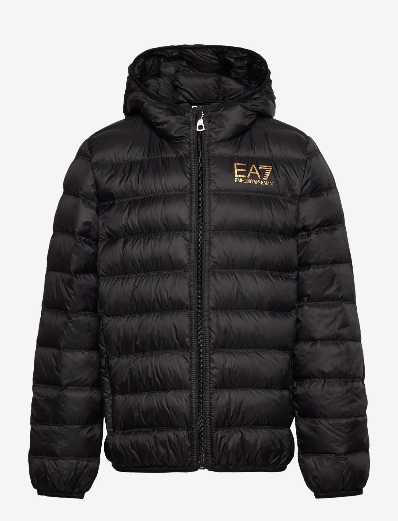 EA7 - DOWN JACKET - herbstjacken - black / gold - 0