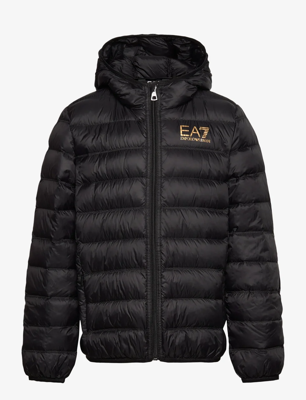 EA7 - DOWN JACKET - isolerade jackor - black / gold - 0