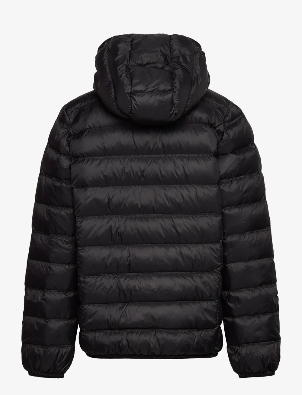 EA7 - DOWN JACKET - isolerade jackor - black / gold - 1