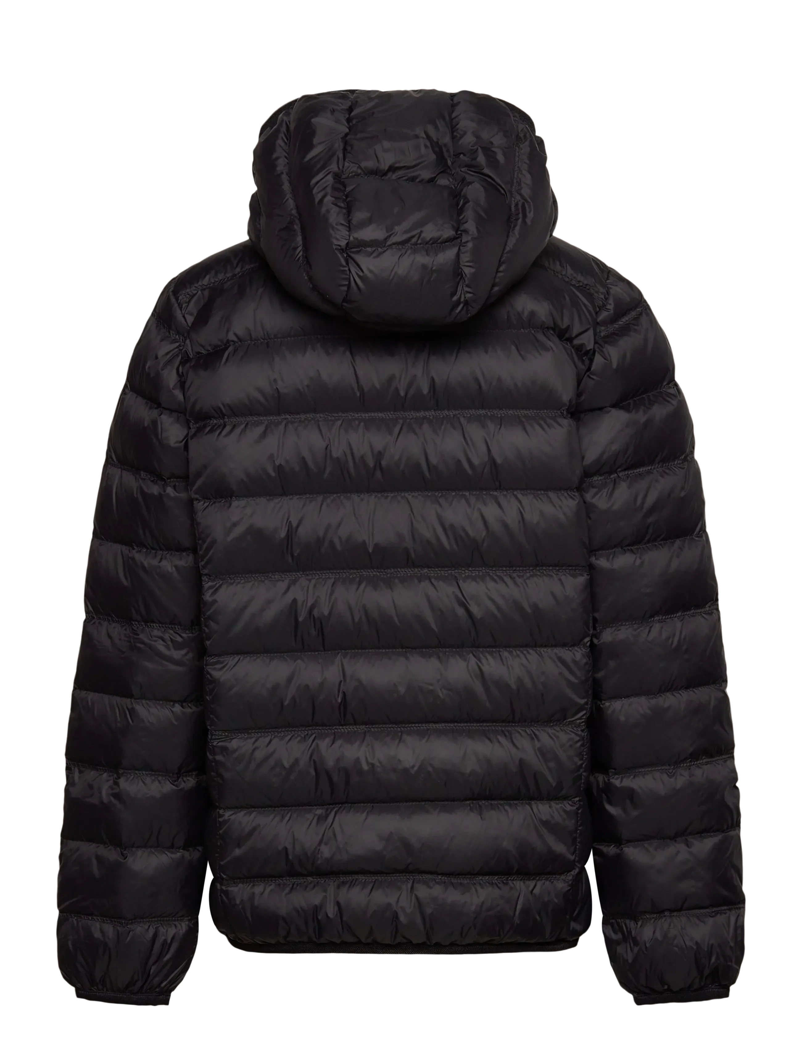 EA7 - DOWN JACKET - viršutiniai drabužiai - black / gold - 1