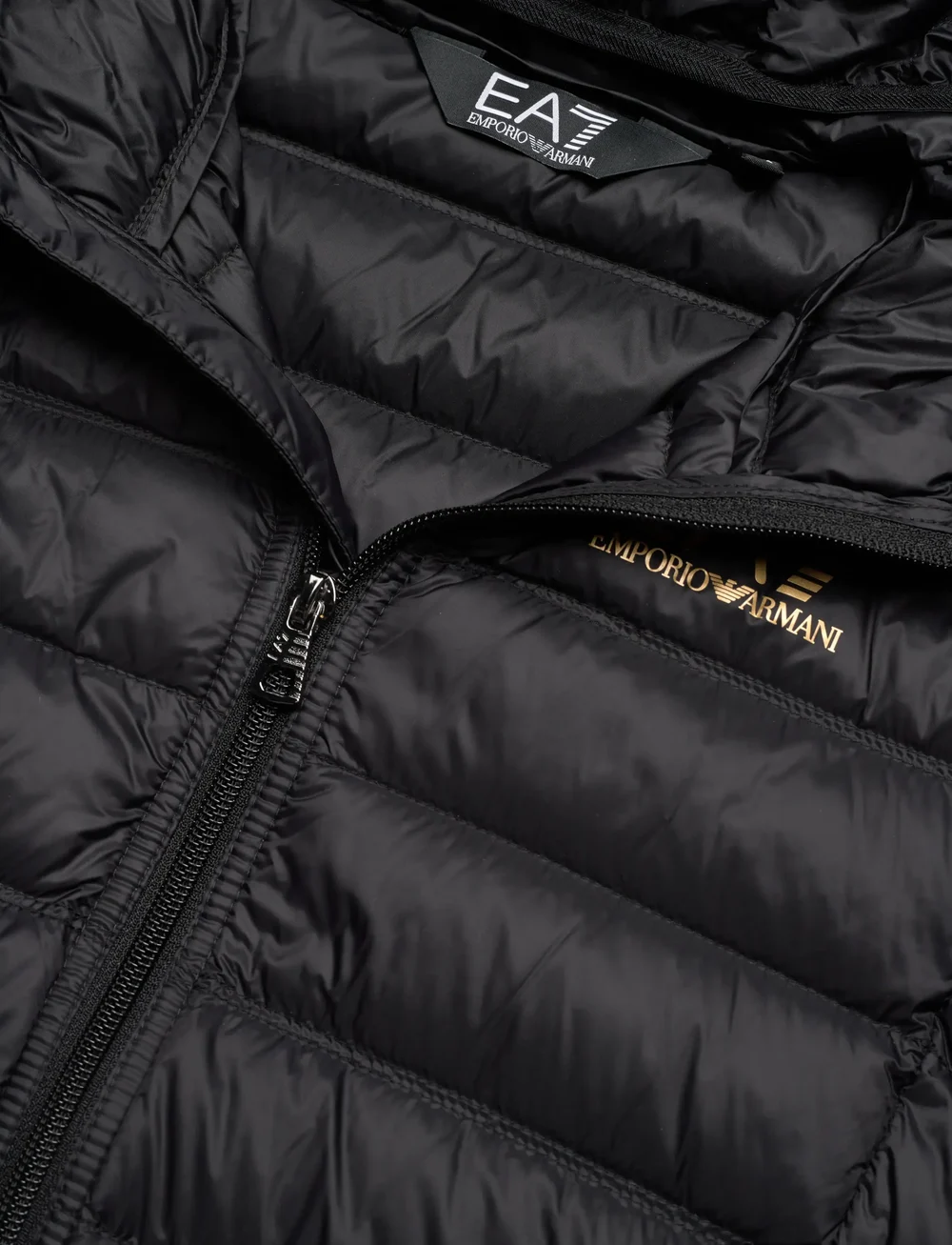 EA7 - DOWN JACKET - isolerade jackor - black / gold - 2
