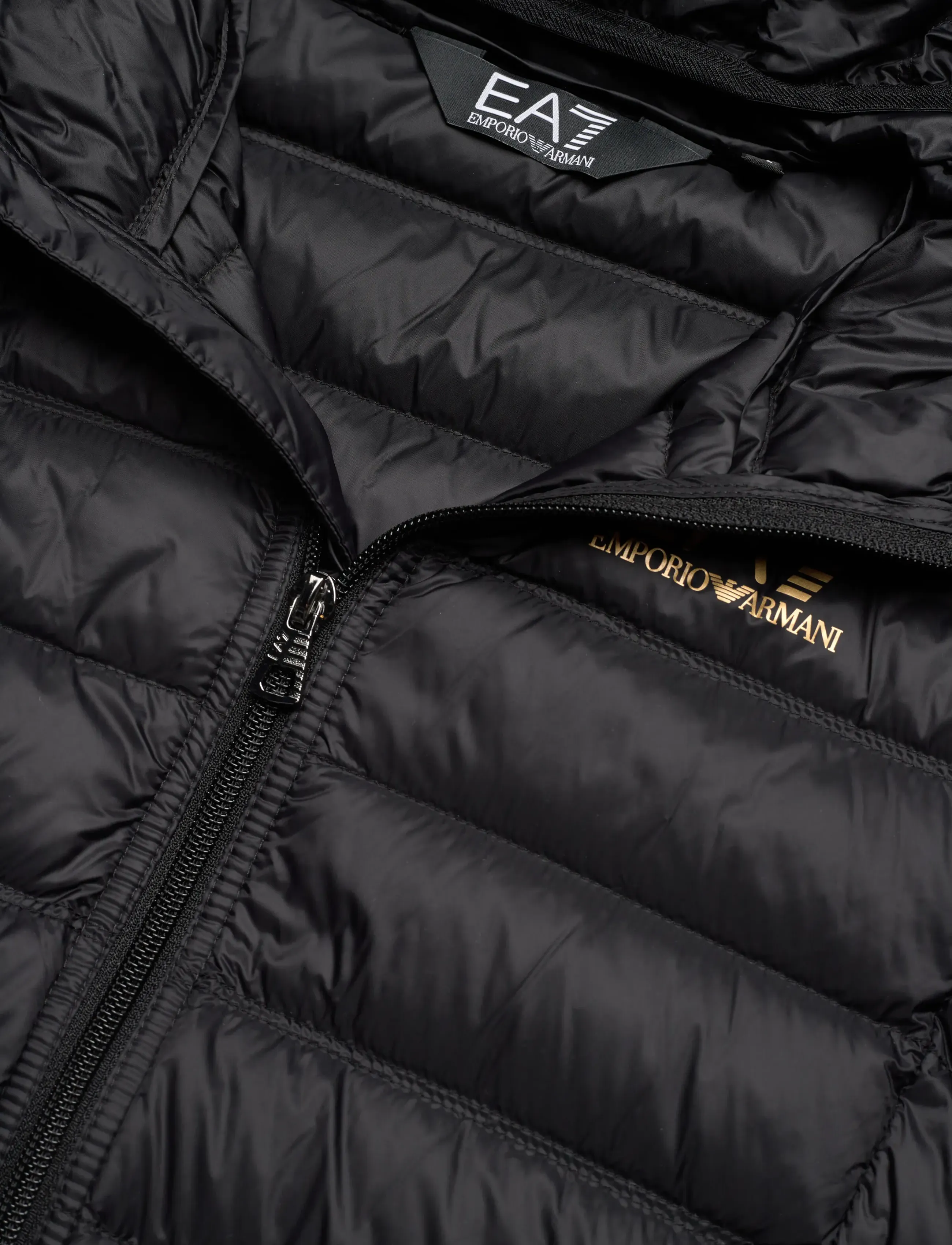 EA7 - DOWN JACKET - viršutiniai drabužiai - black / gold - 2