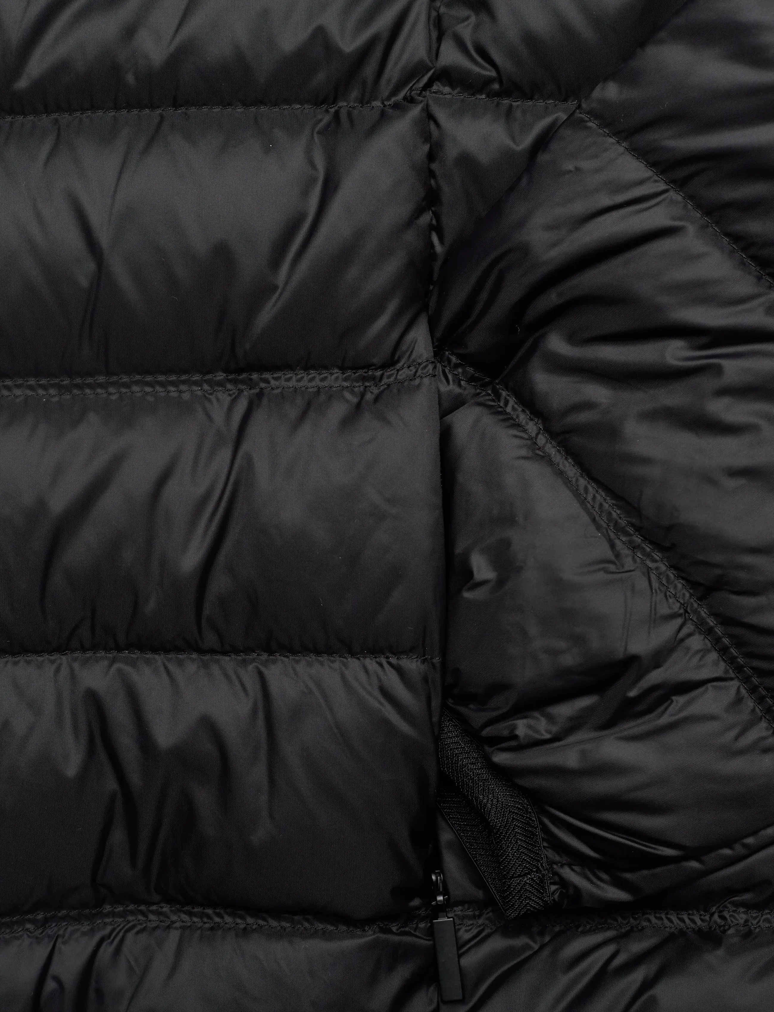 EA7 - DOWN JACKET - viršutiniai drabužiai - black / gold - 3