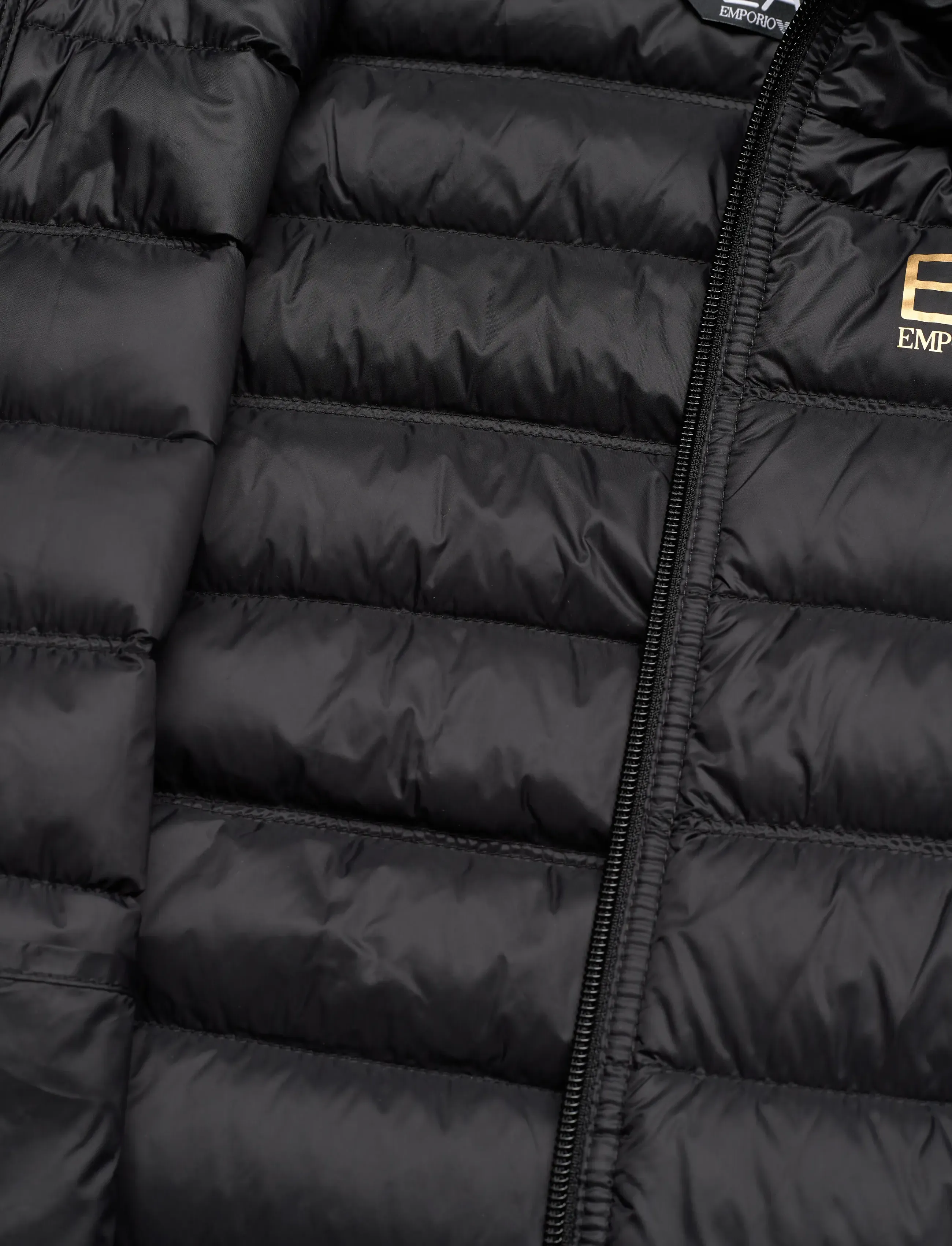 EA7 - DOWN JACKET - viršutiniai drabužiai - black / gold - 4