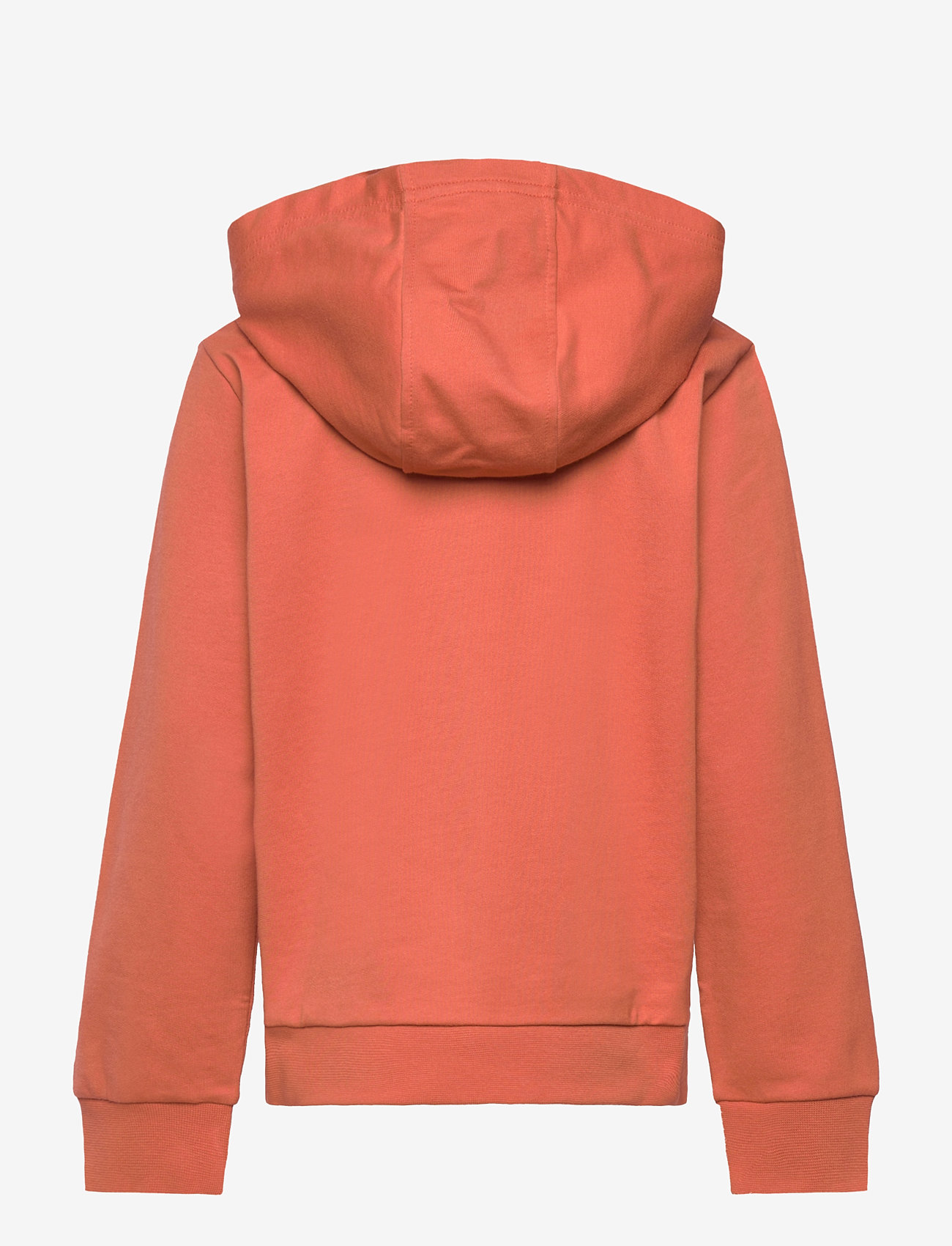 EA7 - SWEATSHIRT - sügisesed riided - ginger spice - 1