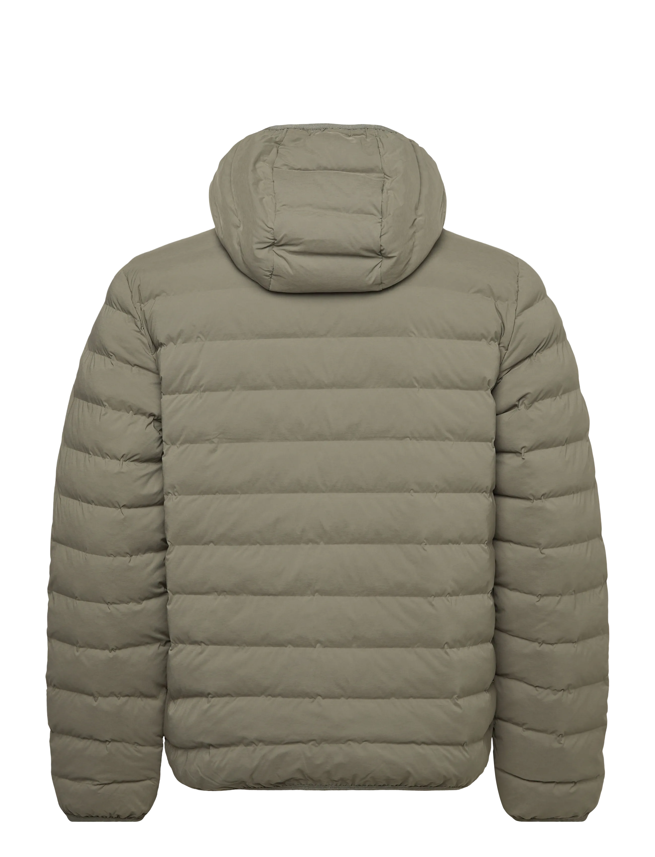 EA7 - BOMBER JACKET - winter jackets - mulled basil - 2