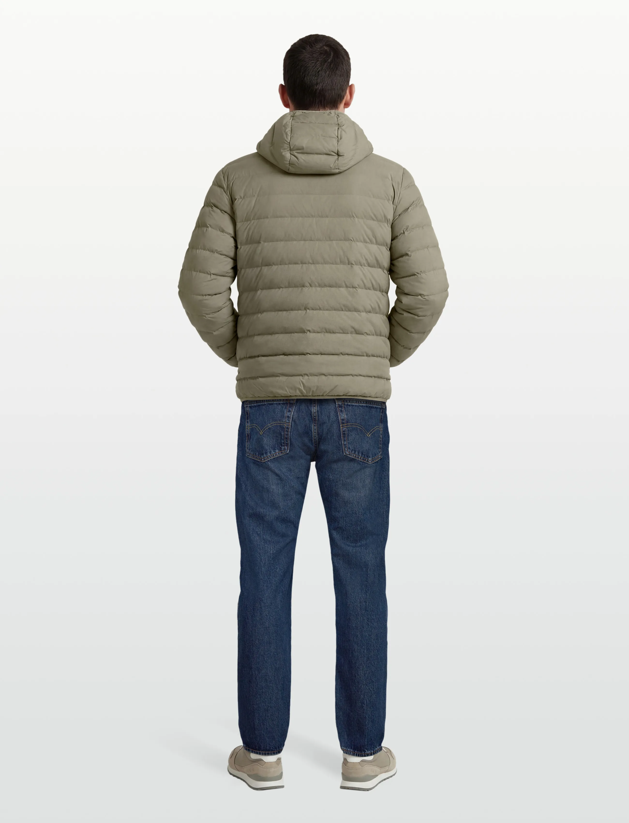 EA7 - BOMBER JACKET - winter jackets - mulled basil - 4