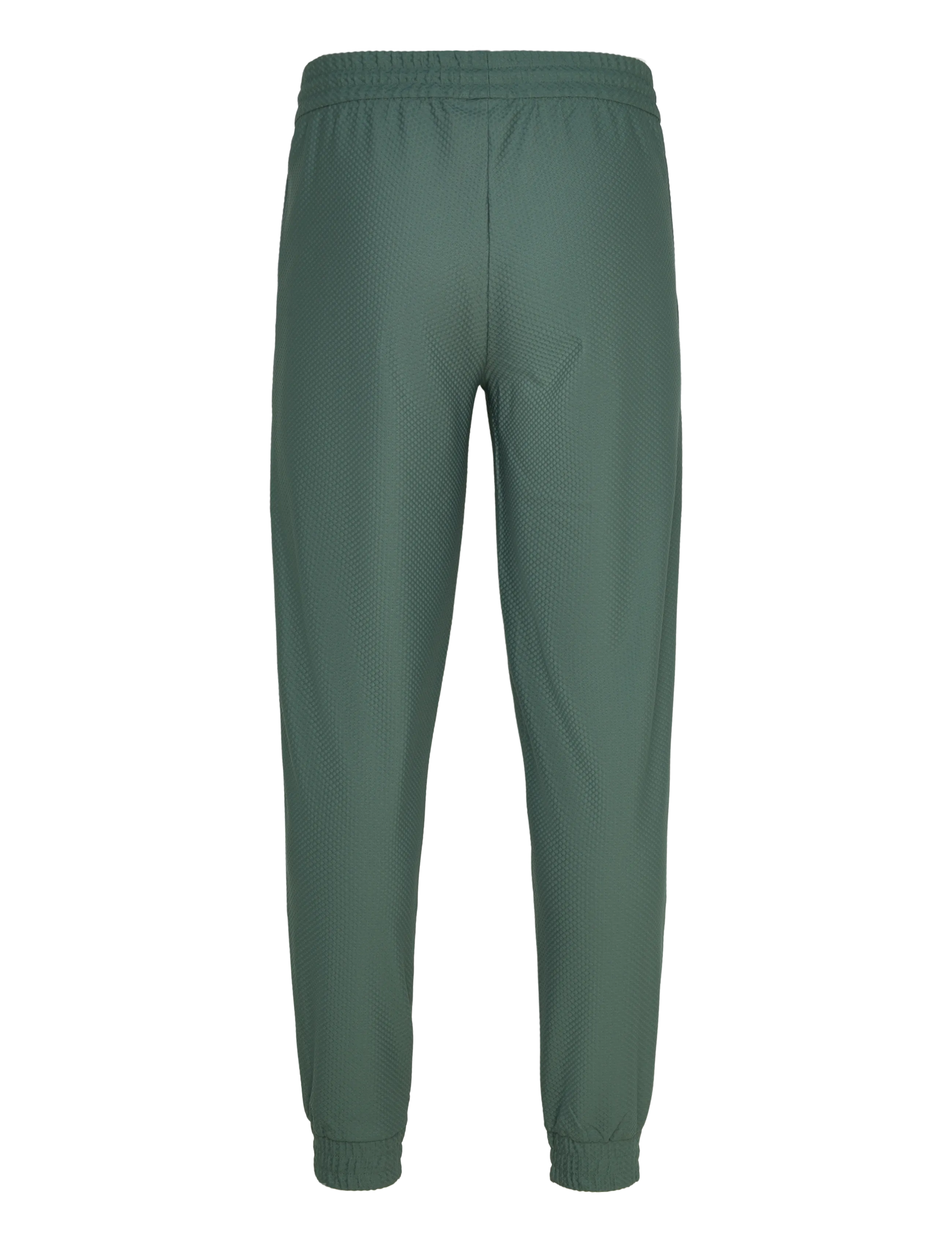 EA7 - TROUSER - spordipüksid - cilantro - 1