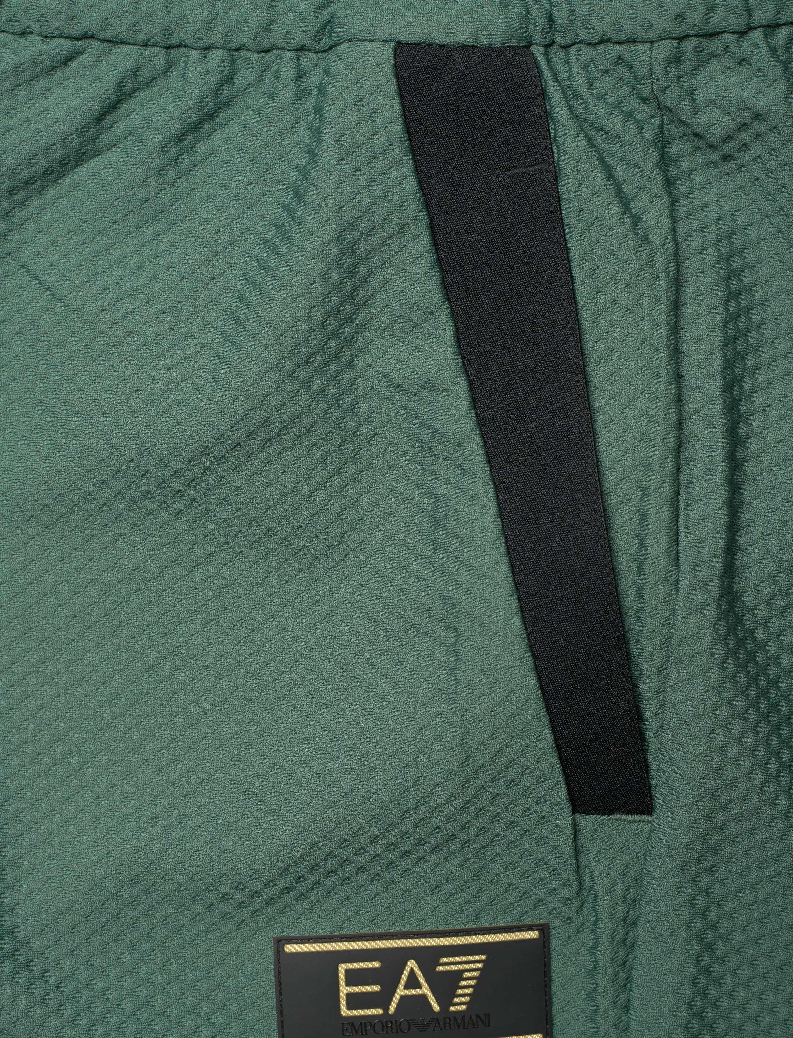 EA7 - TROUSER - spordipüksid - cilantro - 3