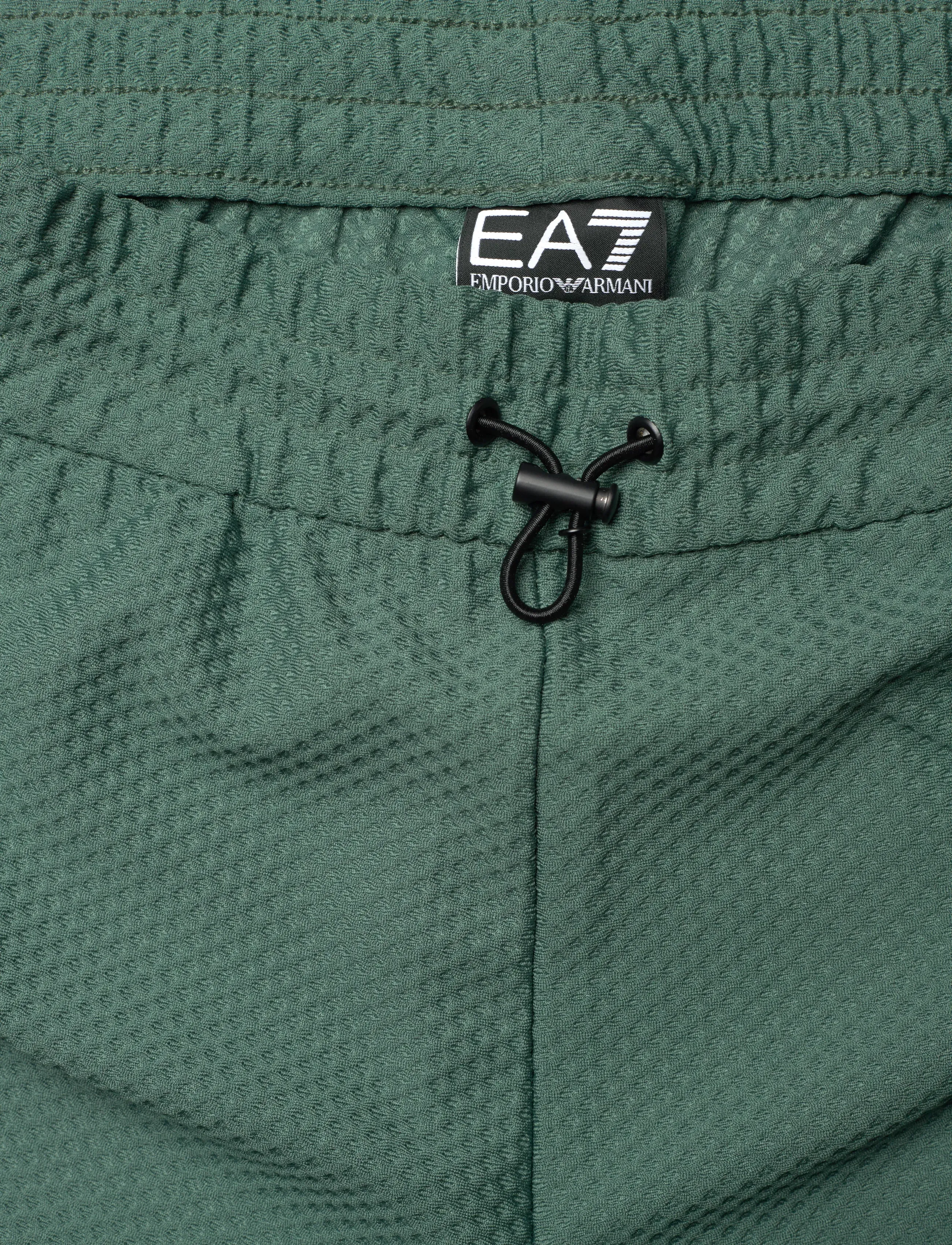 EA7 - TROUSER - spordipüksid - cilantro - 4