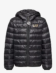 EA7 - OUTERWEAR - insulated jackets - 0200-black - 0