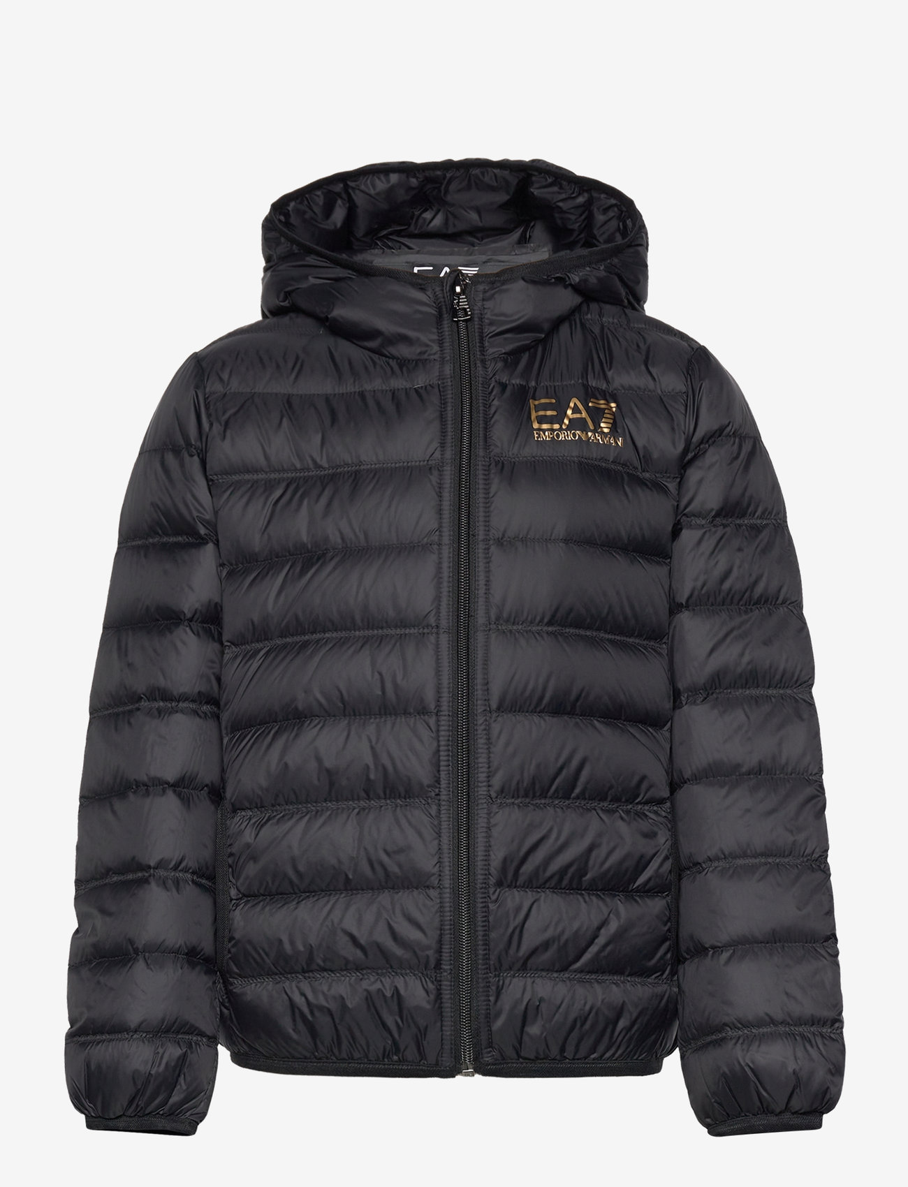 EA7 - DOWN JACKET - isolerede jakker - black - 0