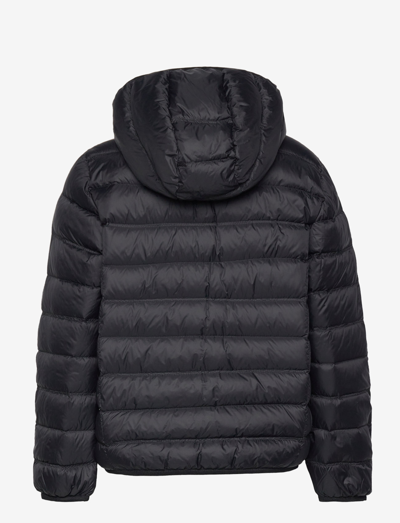 EA7 - DOWN JACKET - isolerede jakker - black - 1
