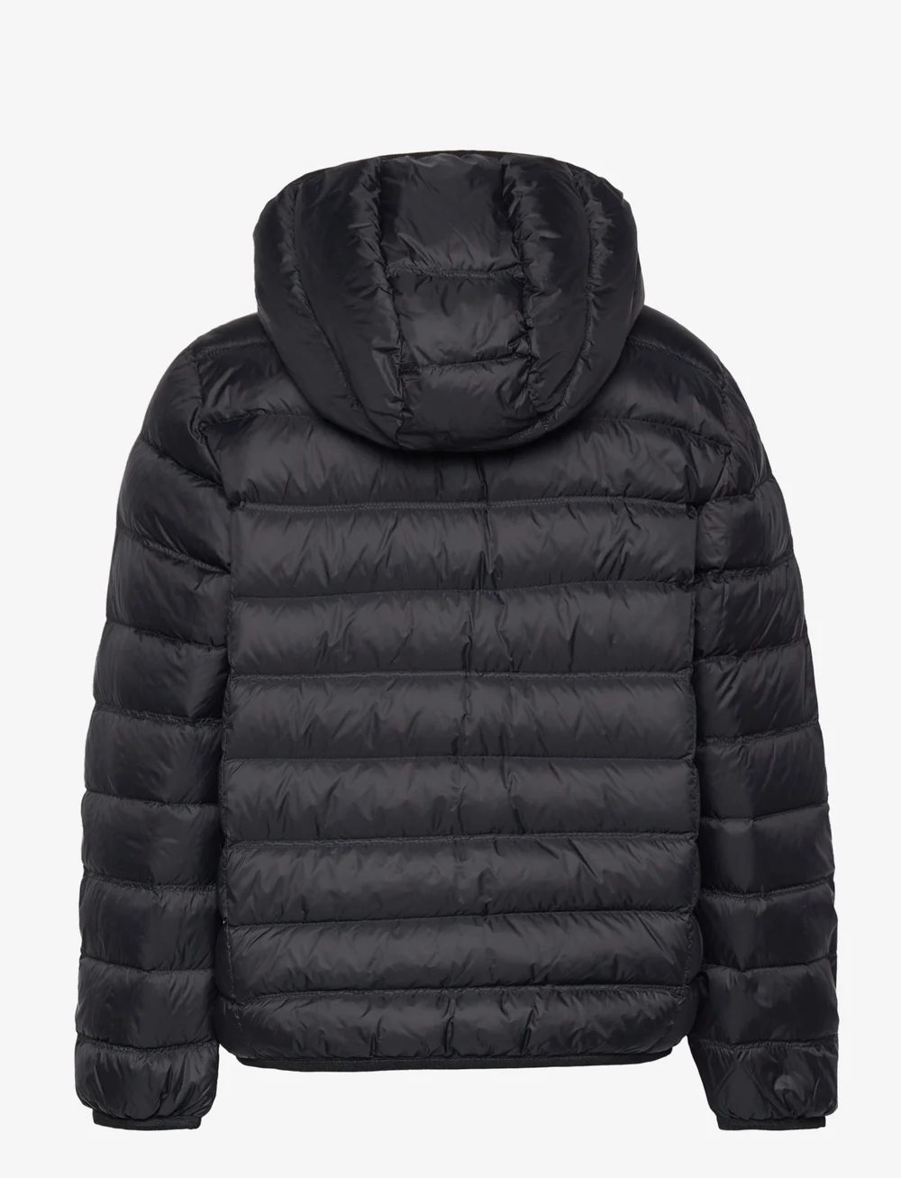 EA7 - DOWN JACKET - isolerede jakker - black - 1