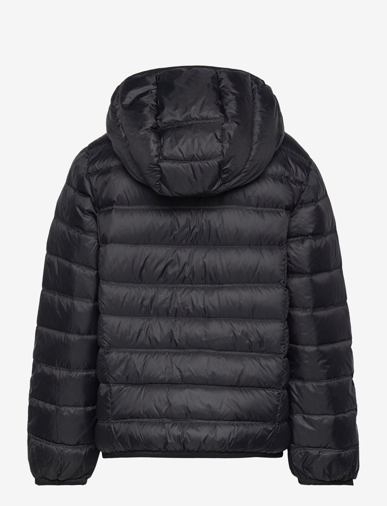 EA7 - DOWN JACKET - insulated jackets - black - 1