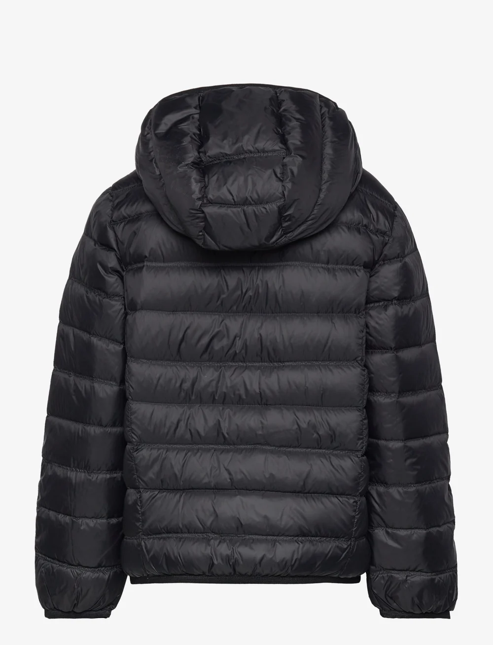 EA7 - DOWN JACKET - isolerede jakker - black - 1