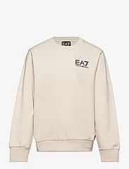 EA7 - SWEATSHIRTS - sweatshirts - 1946-rainy day - 0