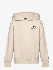 EA7 - SWEATSHIRTS - hoodies - 1946-rainy day - 0