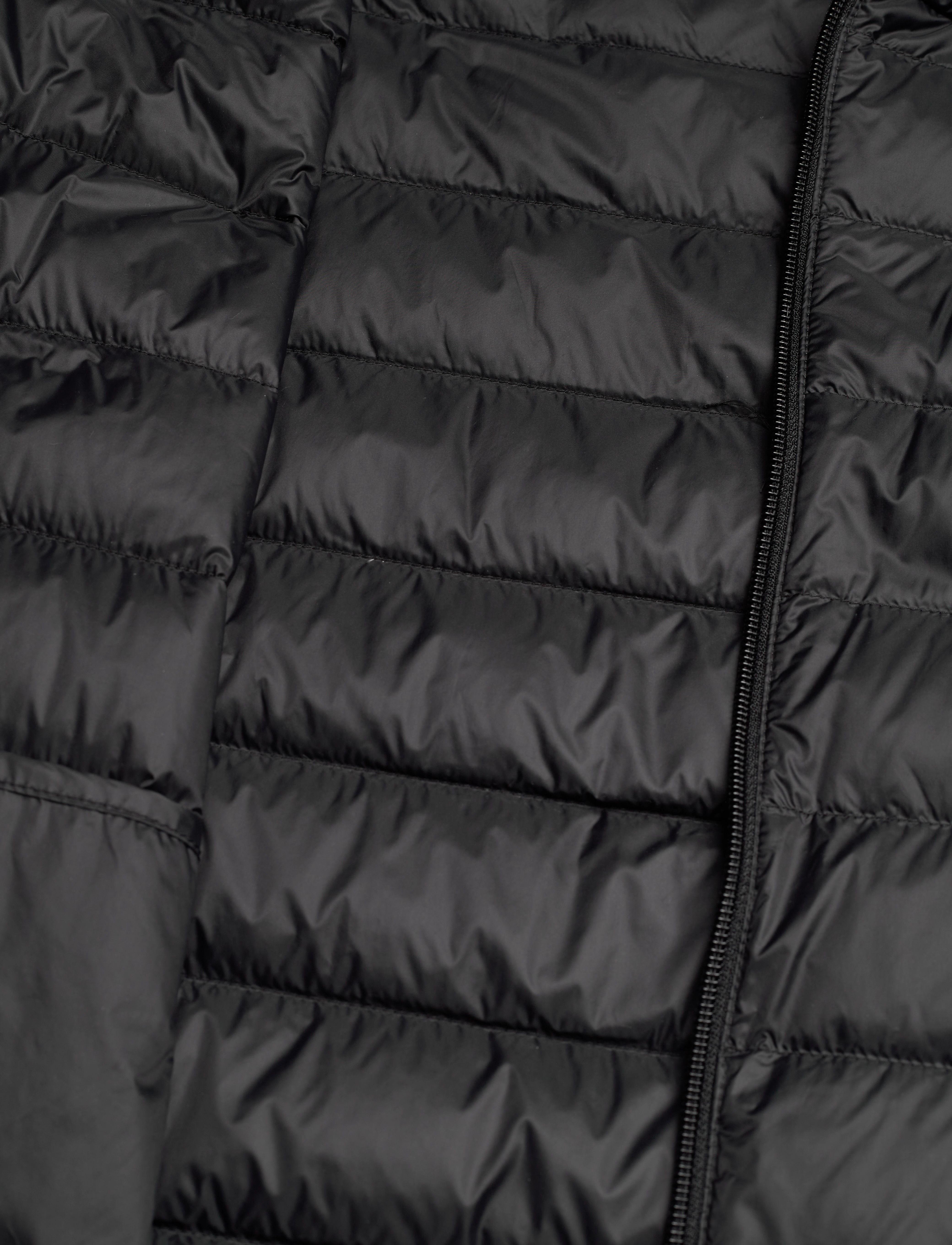 EA7 - DOWN JACKET - frühlingsjacken - black - 4