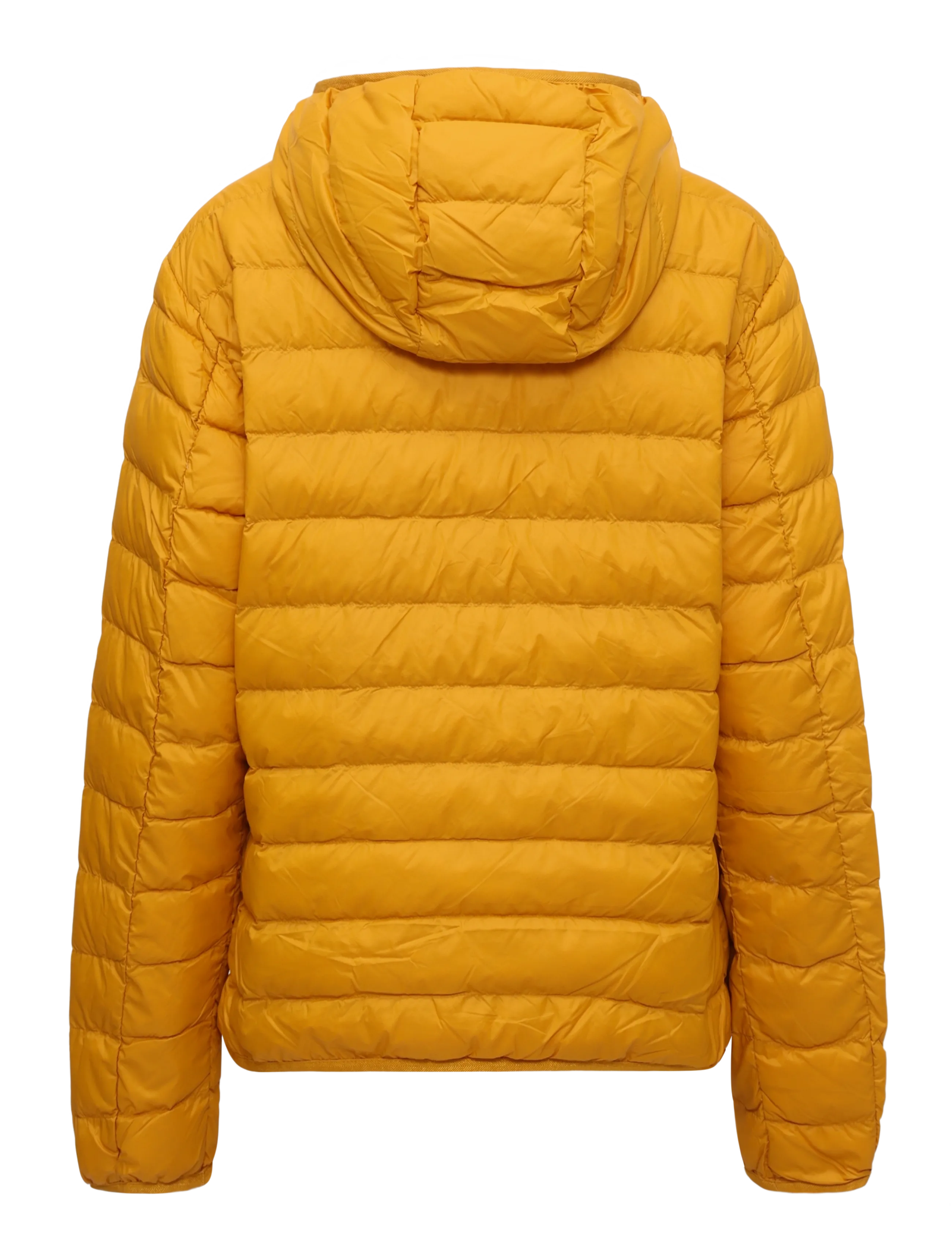 EA7 - DOWN JACKET - herbstjacken - golden yellow - 1