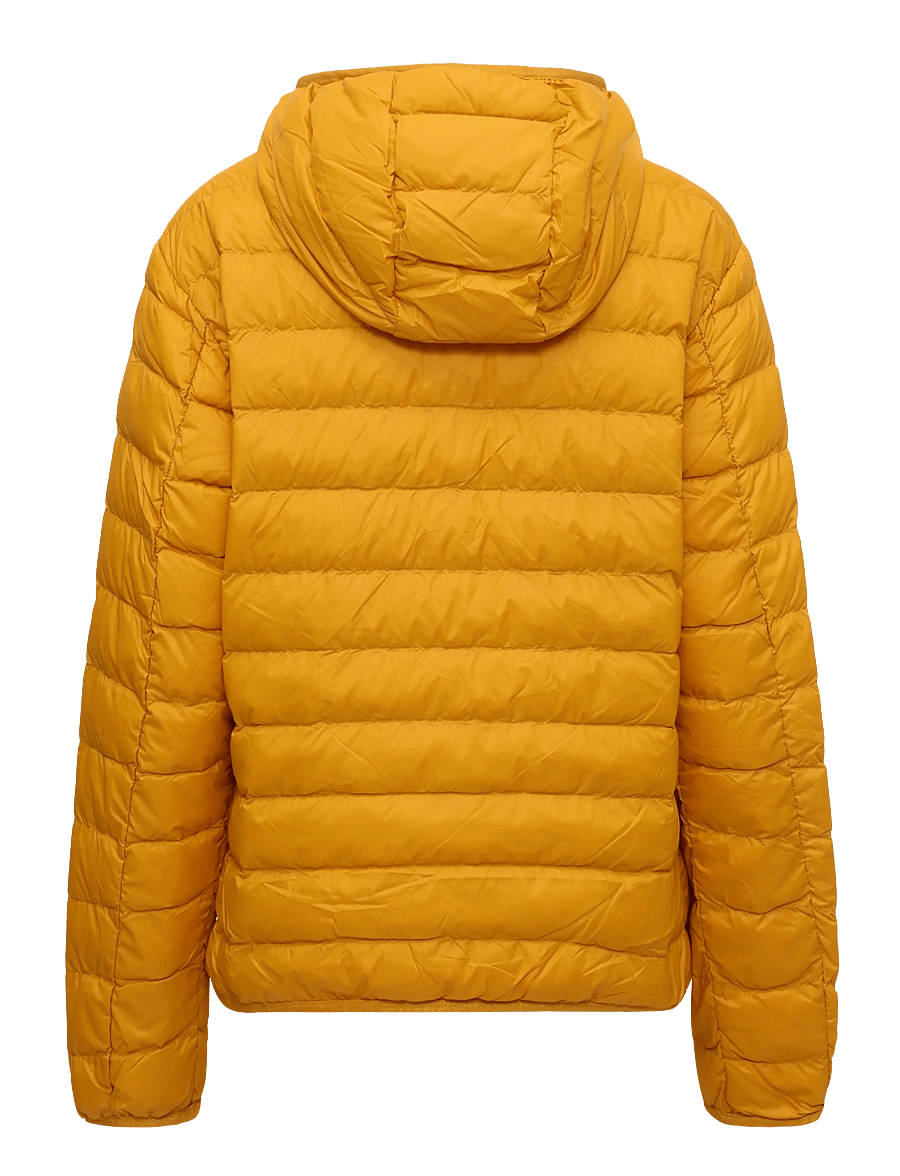 EA7 - DOWN JACKET - herbstjacken - golden yellow - 1