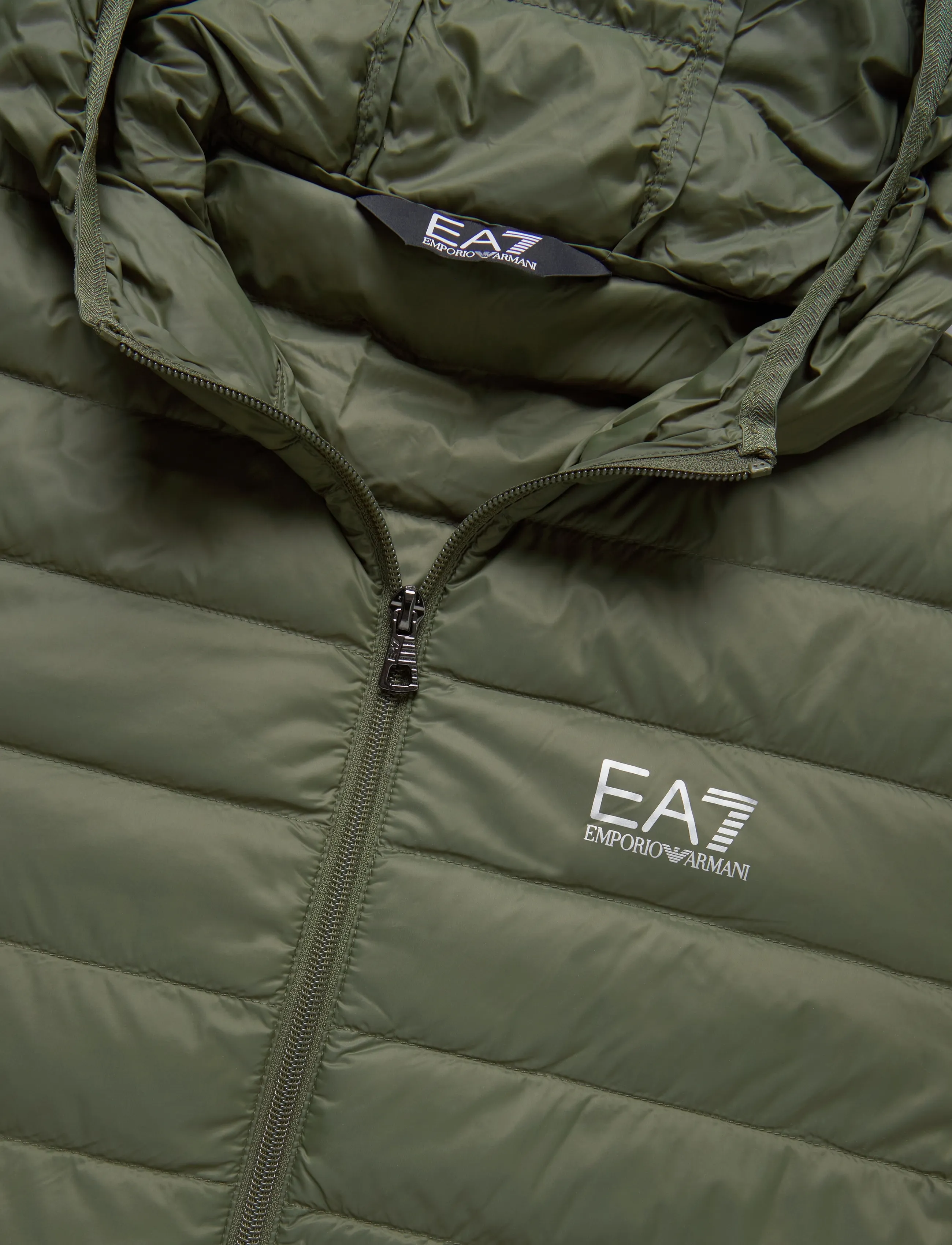 EA7 - DOWN JACKET - efterårsjakker - kalamata - 2